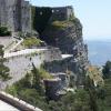 erice
